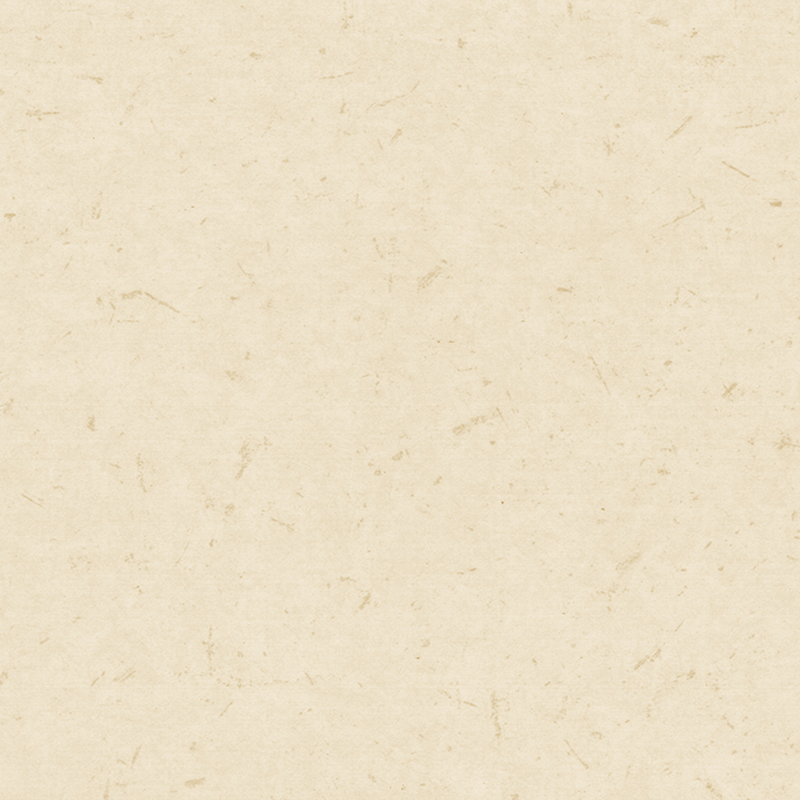 Antybakteryjne i antystatyczne podłogi heterogeniczne