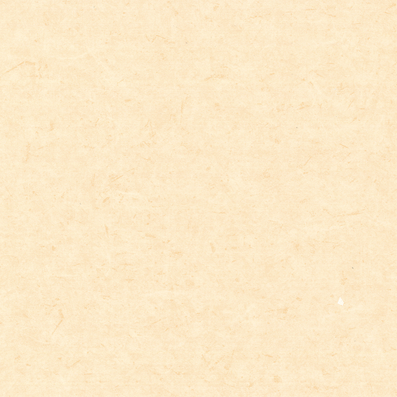 Antybakteryjne i antystatyczne podłogi heterogeniczne