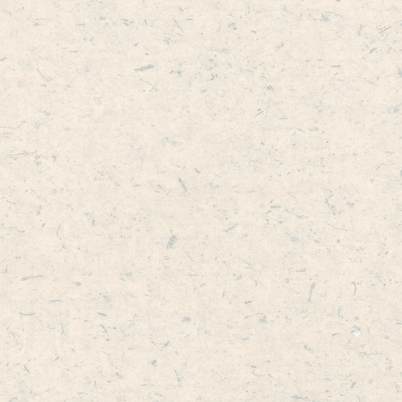 Antybakteryjne i antystatyczne podłogi heterogeniczne