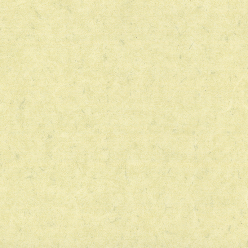 Antybakteryjne i antystatyczne podłogi heterogeniczne