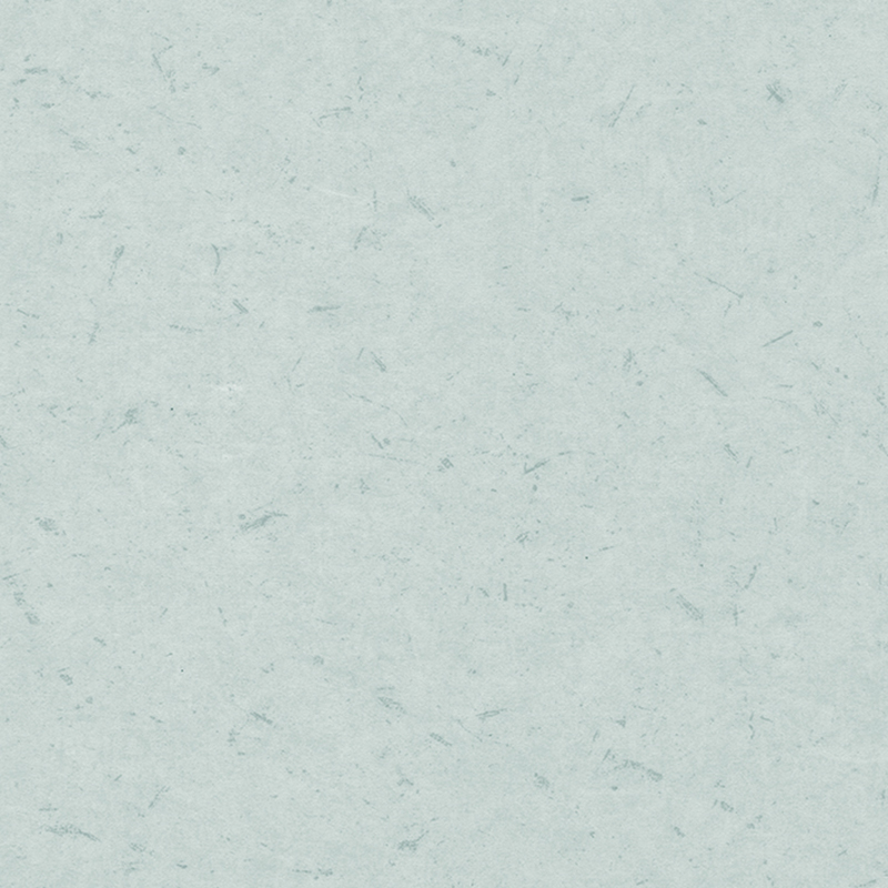 Antybakteryjne i antystatyczne podłogi heterogeniczne