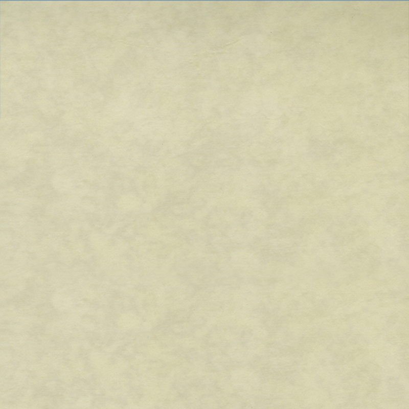 Ekologiczne, odporne na zużycie podłogi heterogeniczne