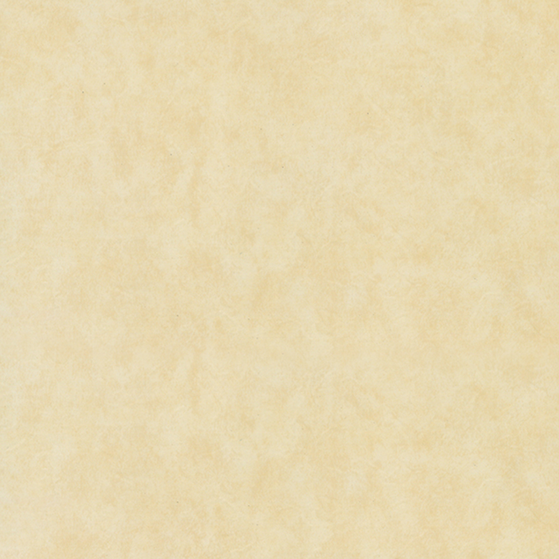 Ekologiczne, odporne na zużycie podłogi heterogeniczne