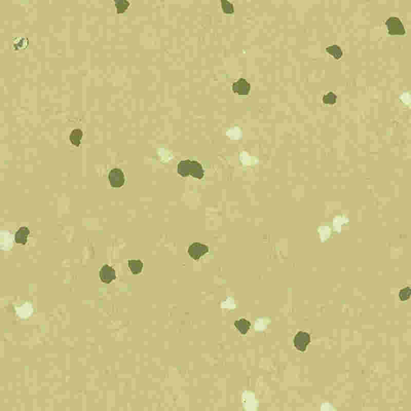 Odporna na zarysowania i bardzo elastyczna gumowa podłoga