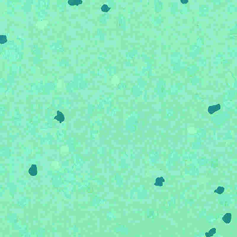 Odporna na zarysowania i bardzo elastyczna gumowa podłoga