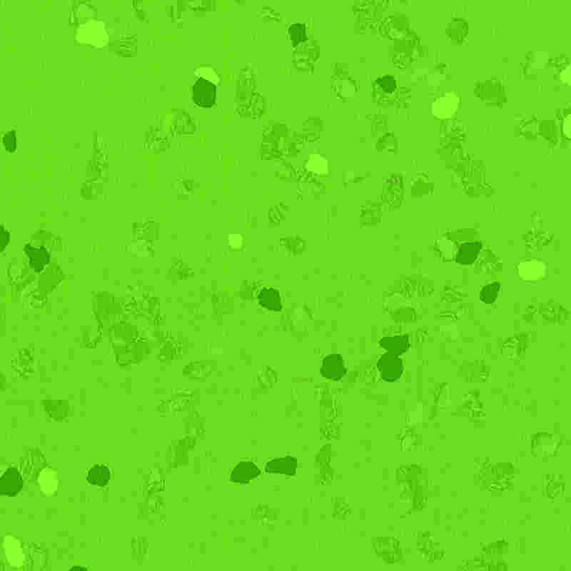 Odporna na zarysowania i bardzo elastyczna gumowa podłoga