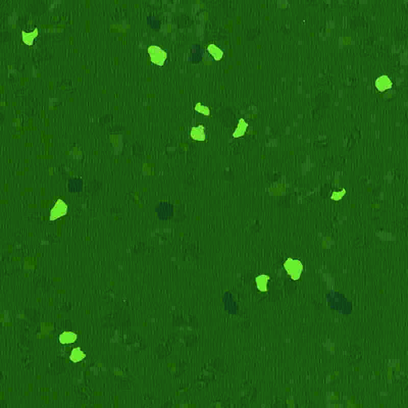 Odporna na zarysowania i bardzo elastyczna gumowa podłoga