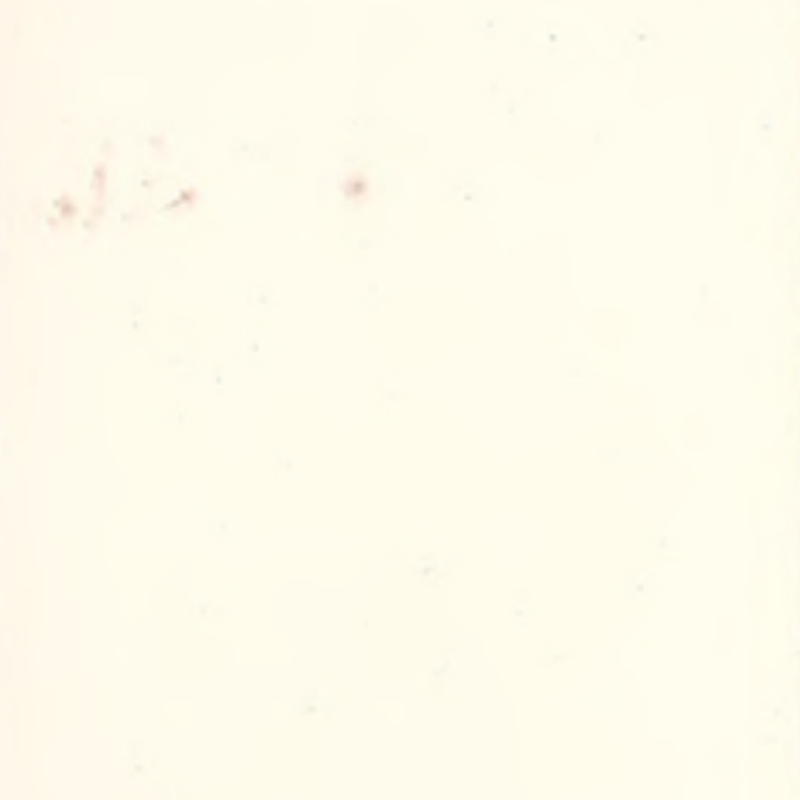 Wysoka zdolność adaptacji i bezszwowa gumowa podłoga