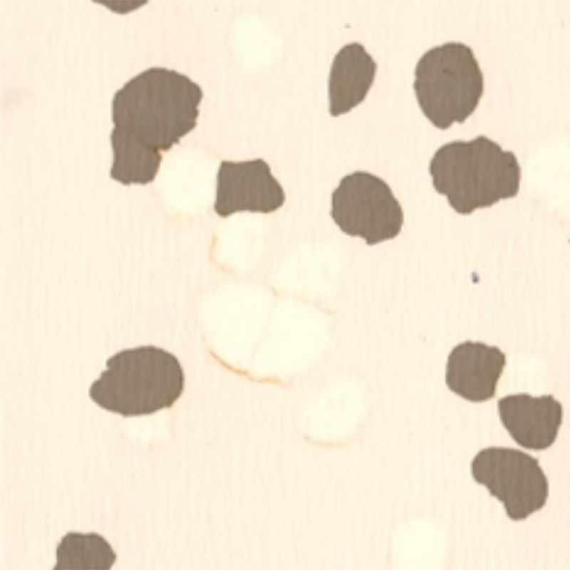 Podłoga gumowa antypoślizgowa i odporna na zarysowania