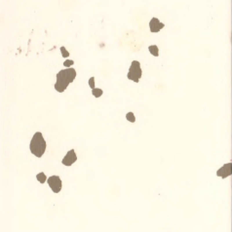 Ekologiczne podłogi gumowe